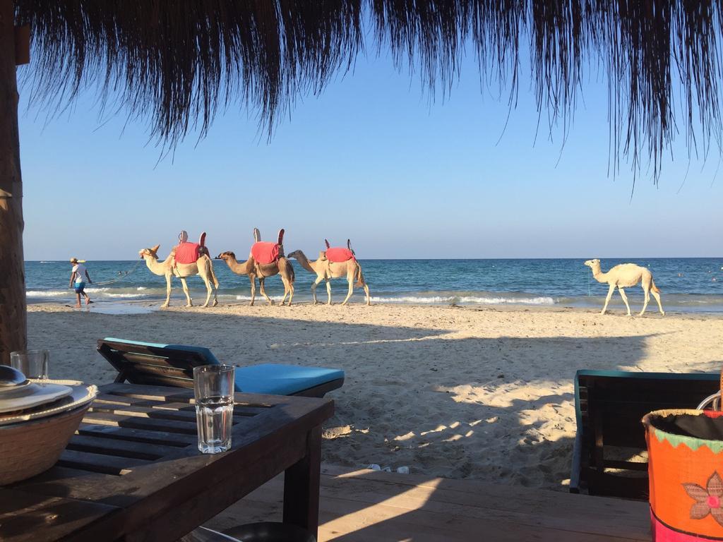 Hotel Djerba Orient Mezraia Екстериор снимка